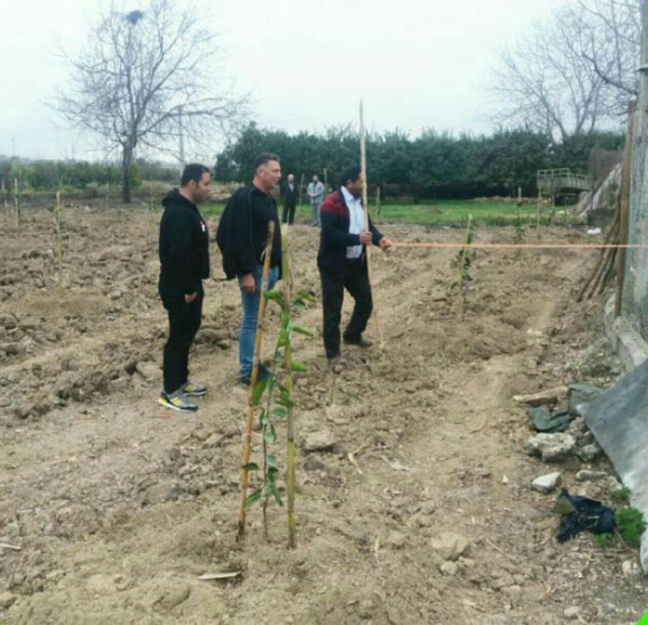 اهدای زمین برای ساخت سالن ورزشی روستای چناربن نکا