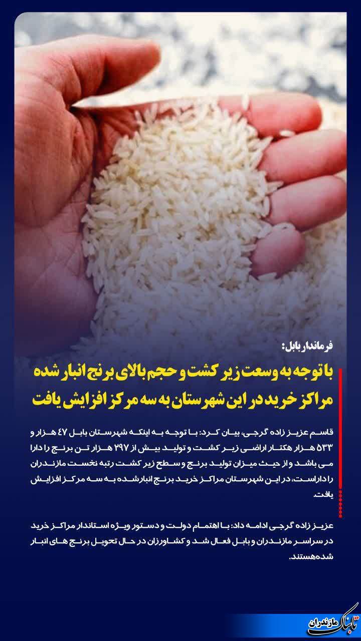 افزایش مراکز خرید برنج در بابل
