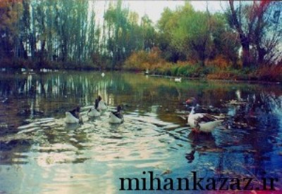 یادداشت روز ; كزاز كجاست؟ یادداشت روز ; كزاز كجاست؟