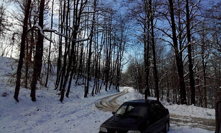 8 عکس تابناتک از برف سنگین در مازندران