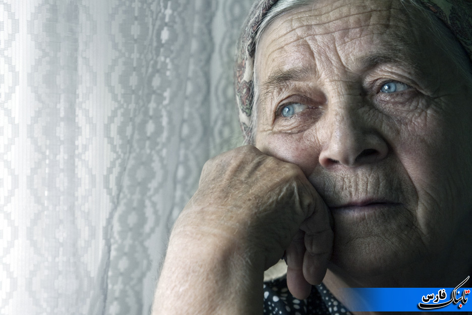 همدم های رباتیک! همدم های رباتیک!