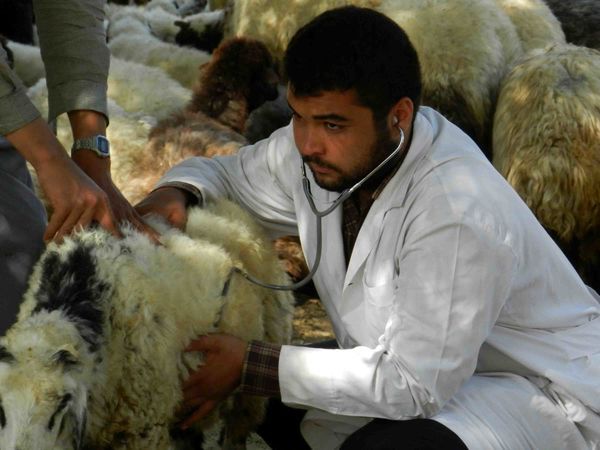 سازندگی کشور با همت گروههای جهادی سازندگی کشور با همت گروههای جهادی