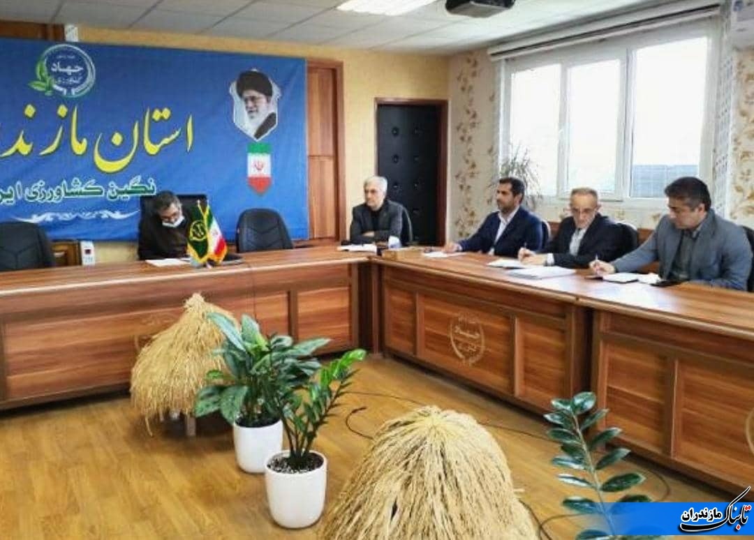 جلسه پیگیری ‌و هماهنگی اجرای طرح کشت قراردادی برنج در مازندران