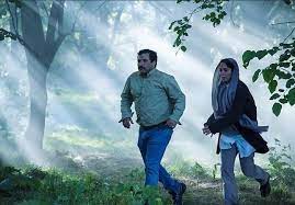 درآغوش درخت،در سایه خلاقیت و صمیمیت