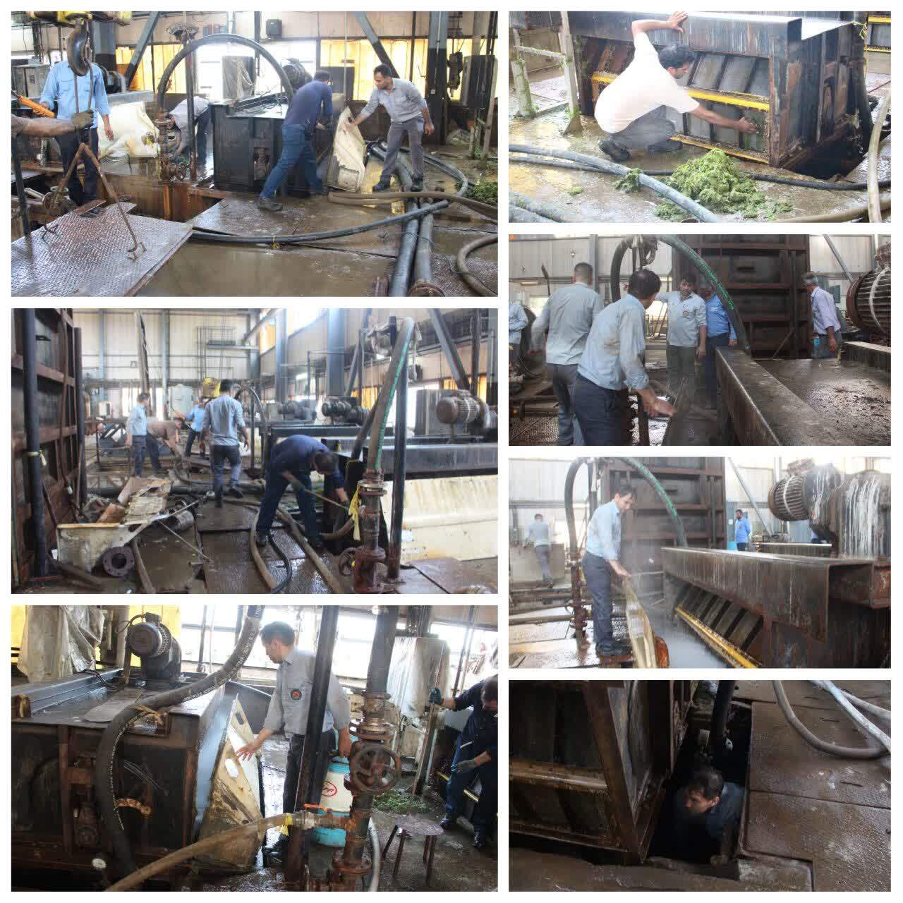 از محدودیت تولید ناشی از هجوم خزه و جلبکهای دریایی در کوتاهترین زمان ممکن پیشگیری شد