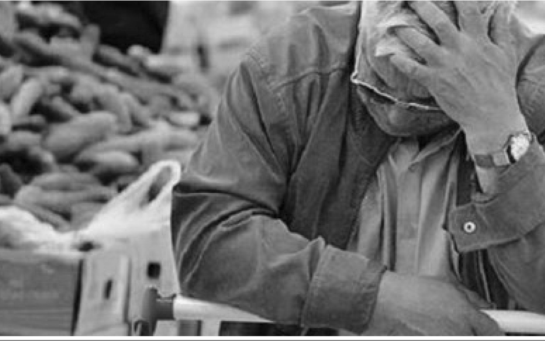 سوگند به نان سفره&zwnj;هایی&zwnj;که بی مسوولانه کم رنگ شدند