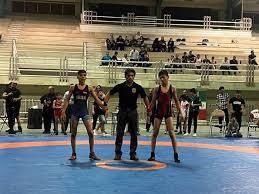 اعلام آمادگی برای حمایت از هیات کشتی ایلام جهت میزبانی مسابقات ورزشی کشور