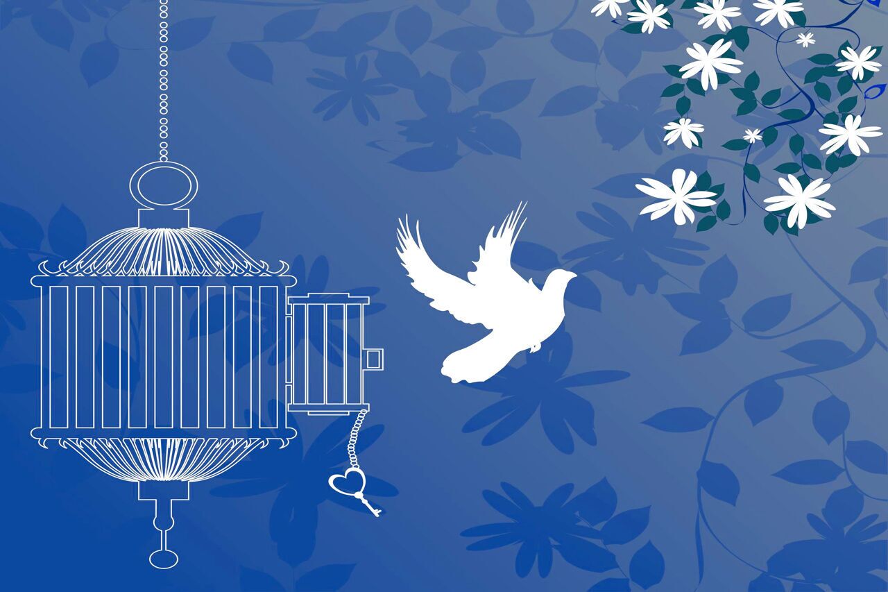 آزادی ۴۰ زندانی غیرعمد در آذربایجانشرقی آزادی ۴۰ زندانی غیرعمد در آذربایجانشرقی