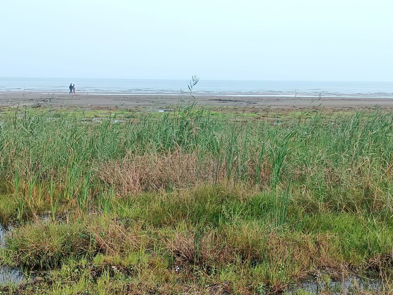 عقب&zwnj;نشینی ۲۰۰ متری خزر در شمال کشور/هشدار بزرگ برای شمال ایران