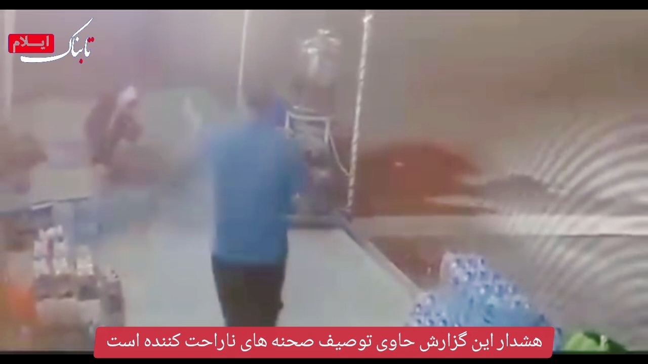 بازداشت فرد حیوان&zwnj;آزار در ایلام + فیلم