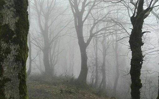 ایست قلبی، کوهنورد لاهیجان را در علیسرود از حرکت بازداشت